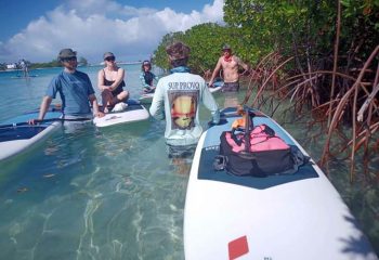 Chris moore going over the mangroves ecosystem with his guests